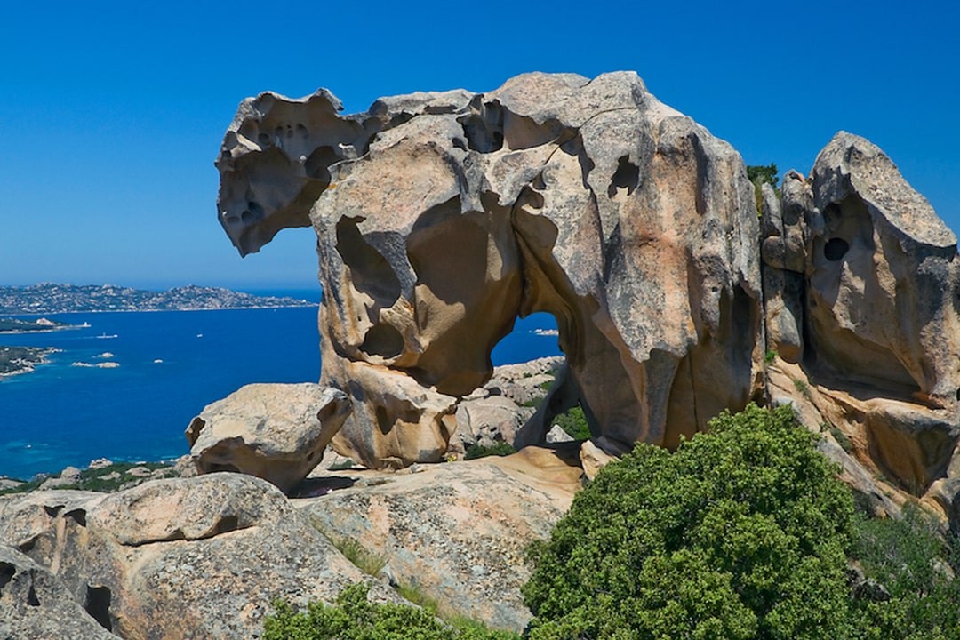 Scopri di più sull'articolo Monumento Naturale Orso Di Palau