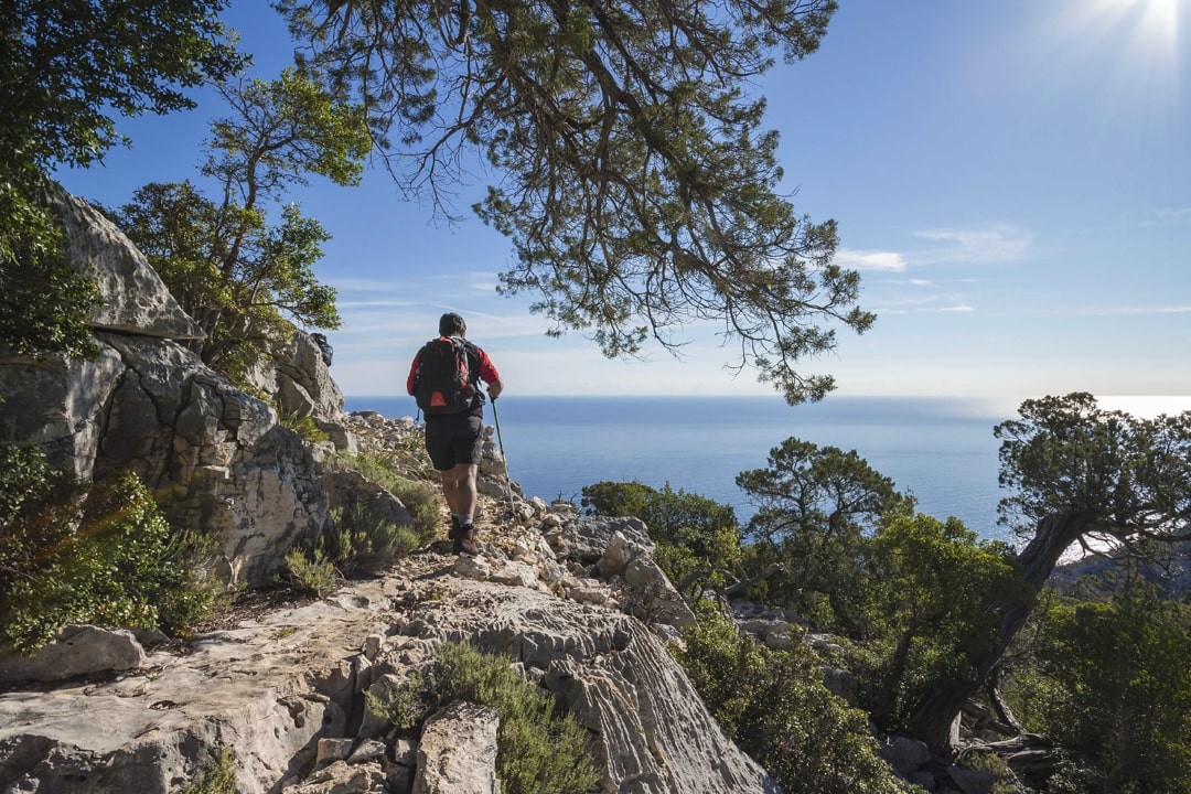 Scopri di più sull'articolo Trekking